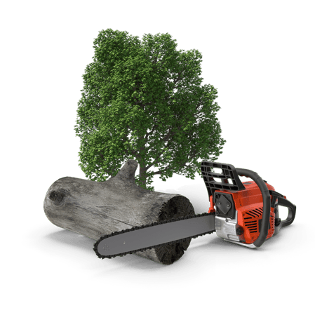 Tree Services